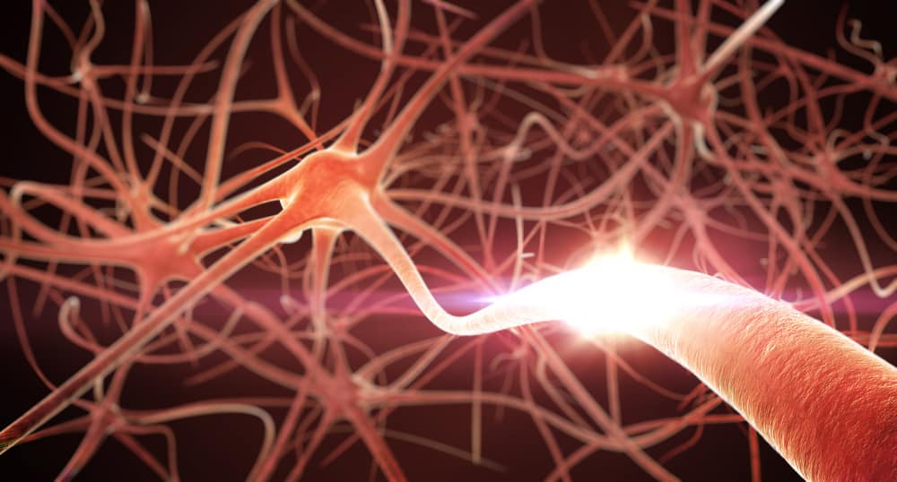 Artificial Intelligence – Mapping and Decoding of Brainwaves Artificial Intelligence – Mapping and Decoding of Brainwaves