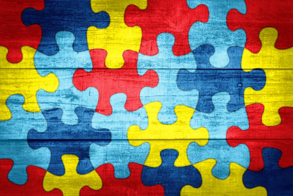 Public Search Autistic Spectrum Employment Recruiting Public Search Autistic Spectrum Employment Recruiting